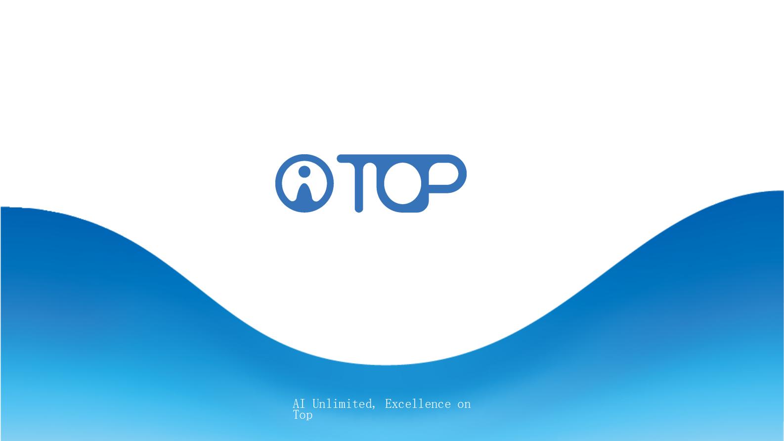 AI TOP介绍